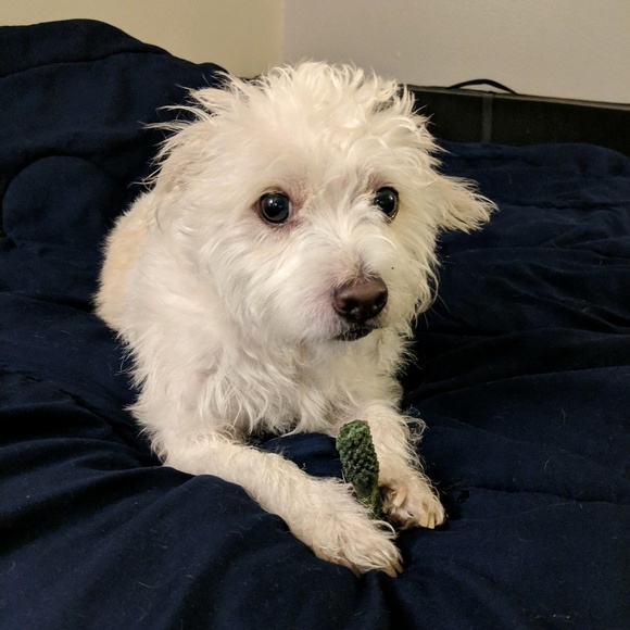 Meet your Posher, Jonathan - Picture 1 of 1